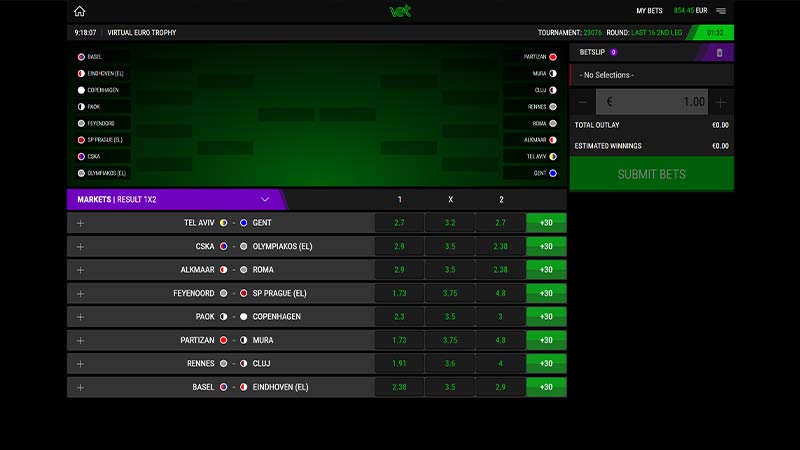 Virtual Euro Trophy