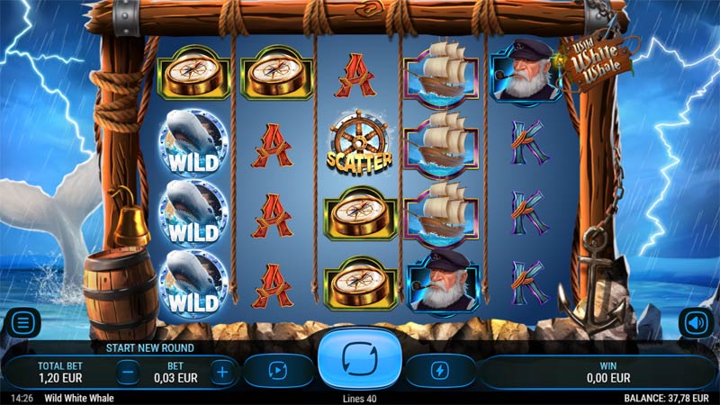 Wild White Whale