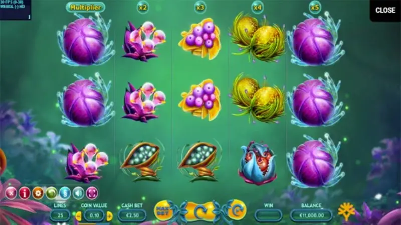 Fruitoids