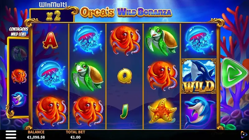 Orcas Wild Bonanza