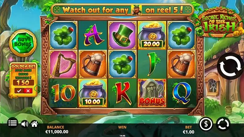 Secret Riches of the Irish