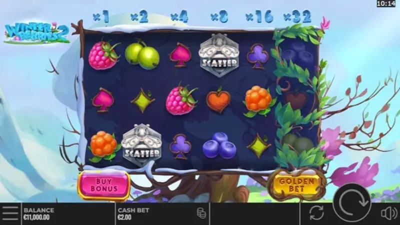 Winterberries 2