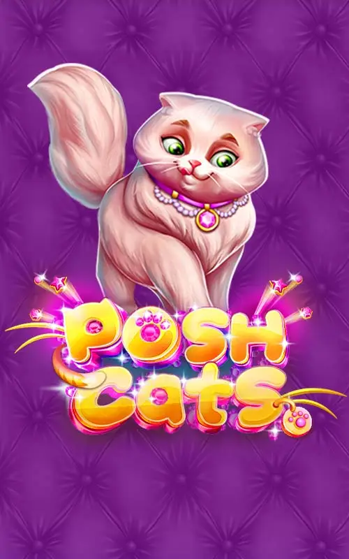 Posh Cats