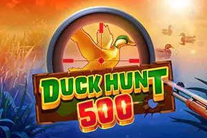 Duck Hunt 500