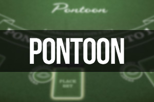 Pontoon 21