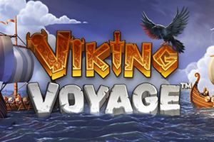 Viking Voyage