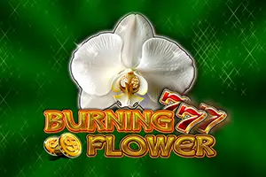 Burning Flower