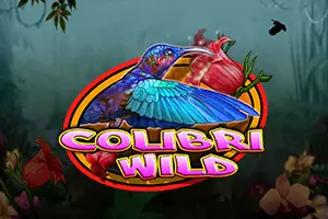 Colibri Wild