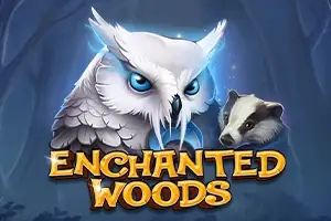 Enchanted Woods