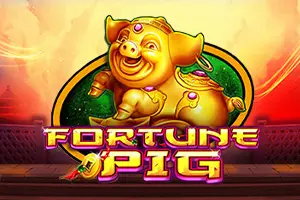 Fortune Pig