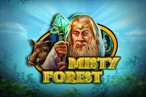 Misty Forest