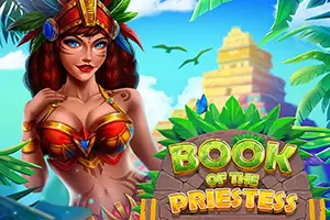 Book Of The Priestess