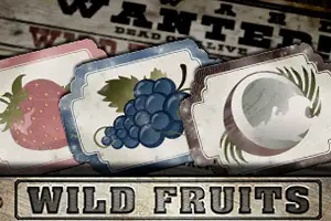 Wild Fruits 27
