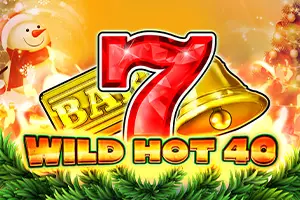 Wild Hot 40 Christmas