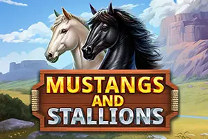 Mustang and Stallions