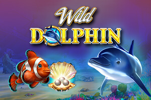 Wild Dolphin