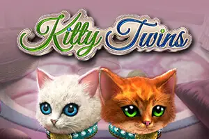 Pretty Kitty