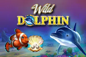 Dolphin Quest