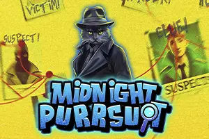 Midnight Purrsuit