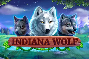 Indiana Wolf