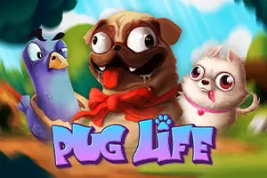 Pug Life