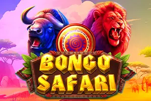 Bongo Safari