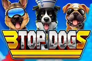 3 Top Dogs