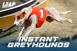 Instant Greyhounds