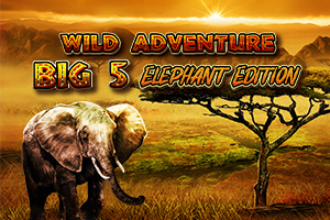 Wild Adventures Big 5 Elephant Edition