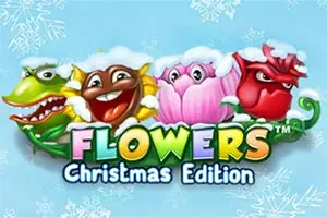 Flowers Christmas Edition