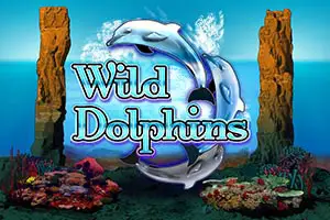 Wild Dolphins