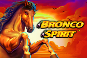 Bronco Spirit