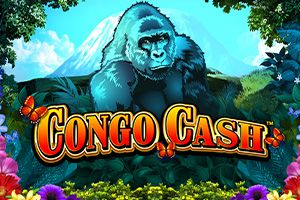 Congo Cash XL