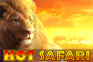 Hot Safari