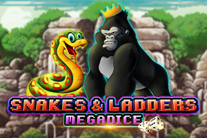 Snakes And Ladders Megadice