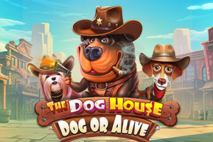 The Dog House Dog or Alive