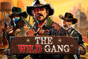 The Wild Gang