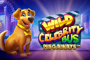 Wild Celebrity Bus Megaways