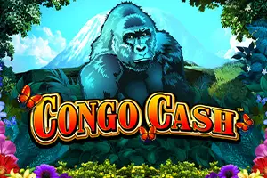 Congo Cash XL