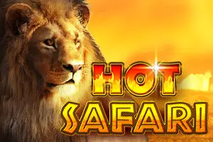 Hot Safari 50000