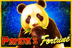 Panda's Fortune