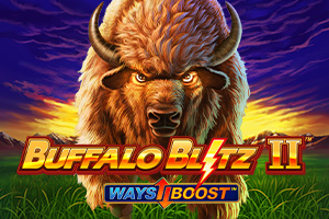 Buffalo Blitz 2