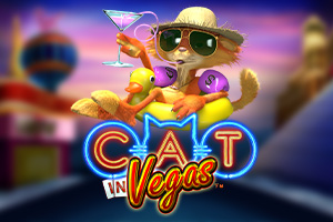 Cat in Vegas