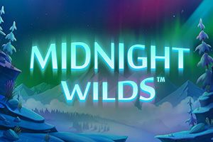 Midnight Wild