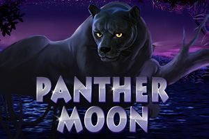 Panther Moon