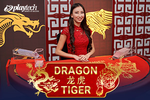 Dragon Tiger