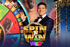 Spin a Win Wild