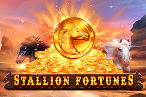 Stallion Fortunes