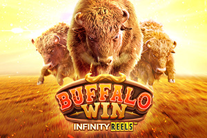 Buffalo Win Buffalo Win