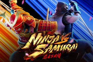 Ninja vs Samurai Ninja vs Samurai